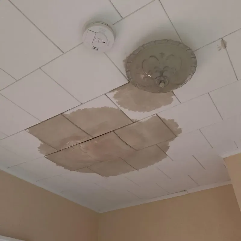 Ceiling Water Damage Repair in Kannapolis, NC