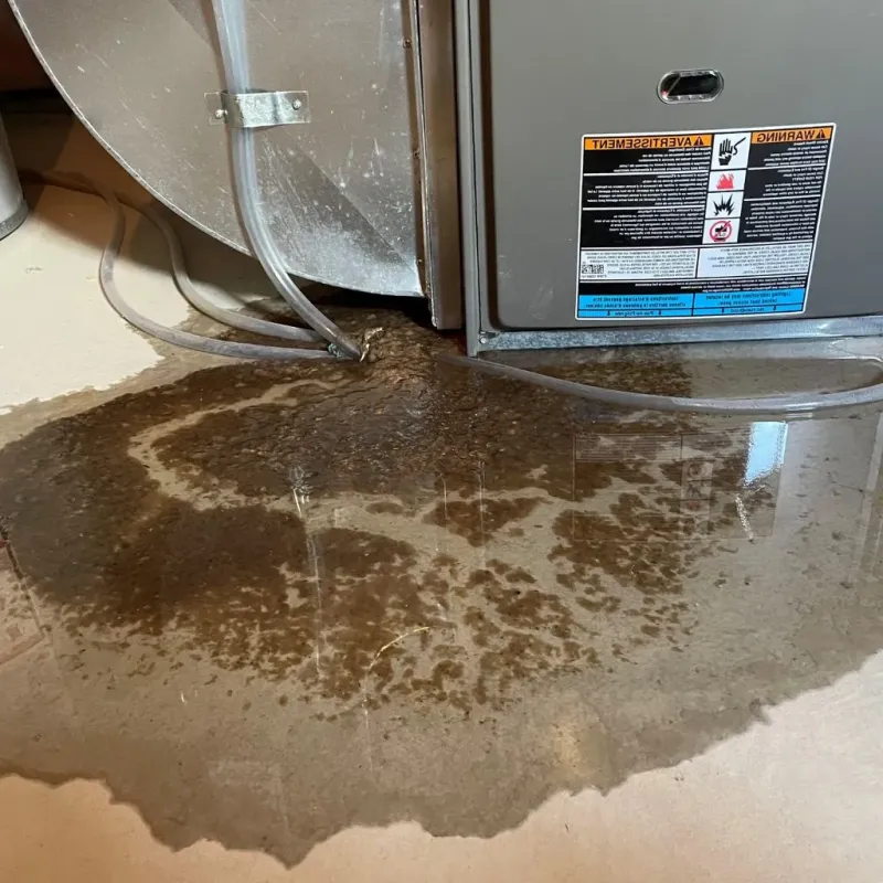 Pipe Burst and Leak Restoration in Kannapolis, NC