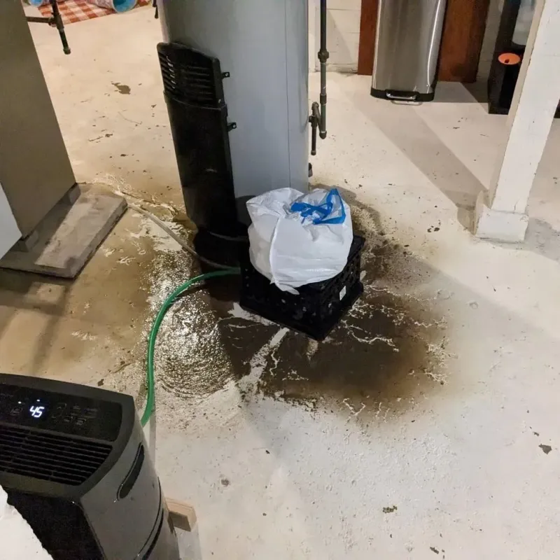 Sewage Backup Cleanup Service in Kannapolis, NC